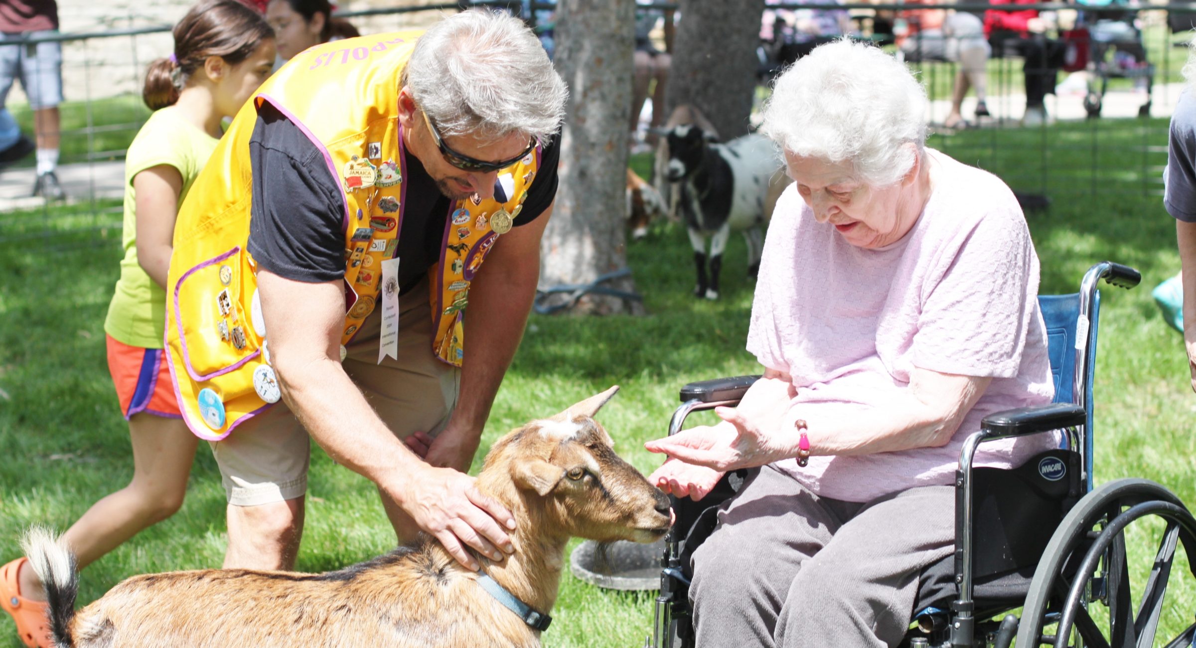 the petting zoo jli 1994